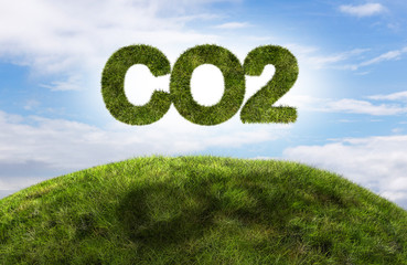 Verringerung der Kohlendioxidemissionen. 3D-Darstellung der CO2-Typografie auf Frühlingswiese mit blauem Himmel im Hintergrund.