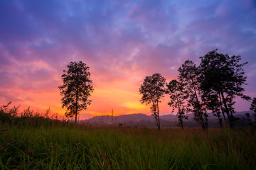 Obraz na płótnie Canvas Mountain landscape ,Sunset in Thung Salaeng Luang National Park, Thailand