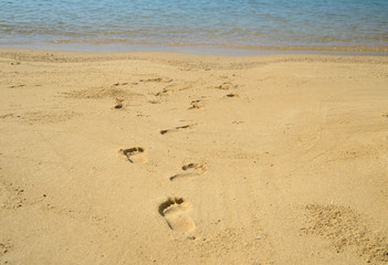 footprints in sand