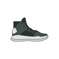 basketball shoe on white background vector