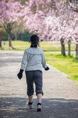 桜満開の公園でジョギングしている女性