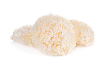  tremella fuciformis white fungus isolated on white