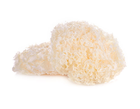  tremella fuciformis white fungus isolated on white