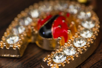 macro photo of a horseshoe with .jewelry