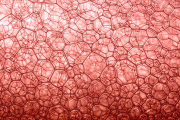 Red macro beverage surface,Juice - Drink, Textured, Textured Effect, Wine, Liquid