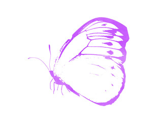 Color watercolor abstract butterfly as imprint, isolated on white background