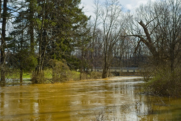 Bridge just above water