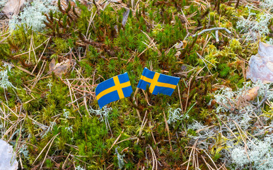 Swedish flags in scandinavian nature background. Photo of wild nature with national symbol.