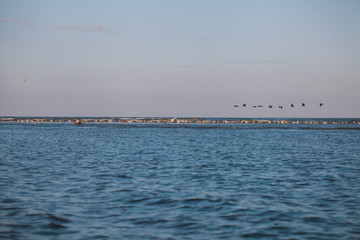 Discover the Danube Delta, Romania. Natural reserve with canyons and beautiful sunsets. Boat trips and excursions. 