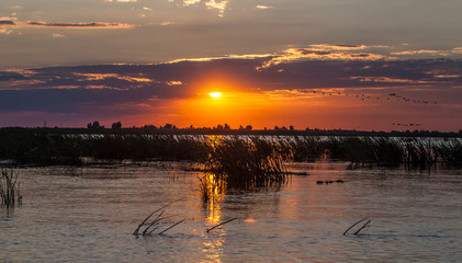 Discover the Danube Delta, Romania. Natural reserve with canyons and beautiful sunsets. Boat trips and excursions. 