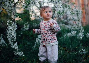  little one-year-old girl walking in   spring garden.