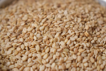Dried Sesame Seeds  as an abstract background texture