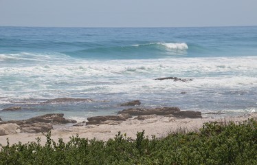 The beach of Scarborough, located on the Cape Peninsula, South Africa, Africa. Beach vegetation and the strong waves of the Atlantic Ocean.