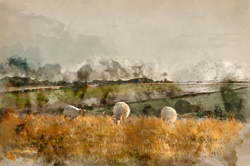 Digitally created watercolor painting of Beautiful vibrant Summer evening landscape image of sheep grazing in English countryside © veneratio