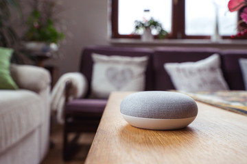 voice controlled smart speaker in living room