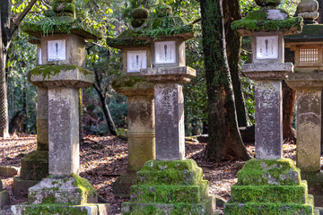 Stone lanterns in the Kasuga Grand Shrine, Nara Park area. Nara Prefecture, Japan