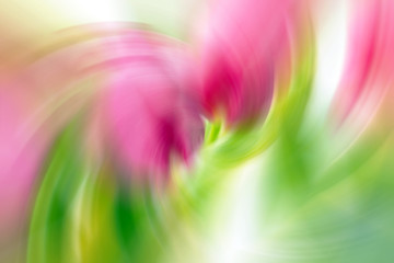 Spiral vortex pink, green blurred gradient background. Abstract wave natural texture