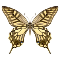 Hand drawn watercolor of realistic butterfly Papilio xuthus. Stock illustration isolated on white background.