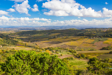 Beautiful autumn landscape in Tuscany, Italy. Panorama of the Dorca Valley, golden grapes, blue sky and cypress trees.