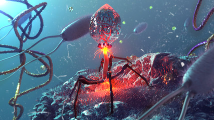 Bacteriophage 3d render