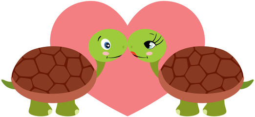 Couple of turtles in love
