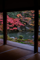 Autumn Leaves in Rengeji Temple in Kyoto, Japan