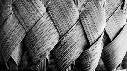 black and white abstract texture