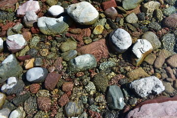 rocks in water4