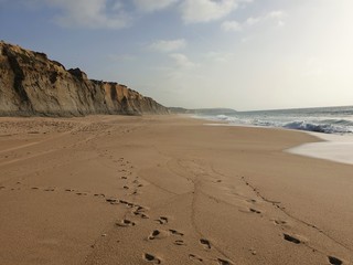beach at sunset