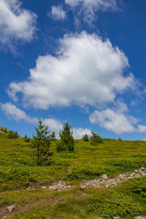 landscape with blue sky