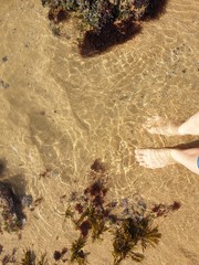 starfish on the sand
