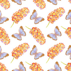 Hand drawn watercolor illustration of vanda orchids and butterflies isolated on white background. Seamless pattern with colorful flowers. Rhynchovanda Bangkok Sunset.