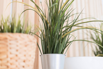 metal pot, wicker vase with decorative plants on a light background with wooden bars