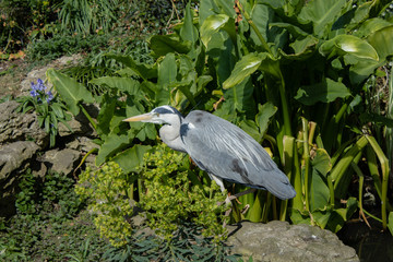 London in early spring with clear skies