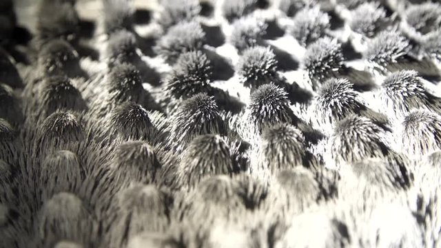 Strong circles of Iron powder. Iron powder under the influence of a magnetic field. Сlose-up view.