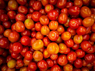 red tomatoes background