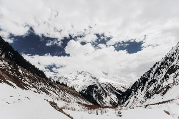 Fototapeta premium Winter