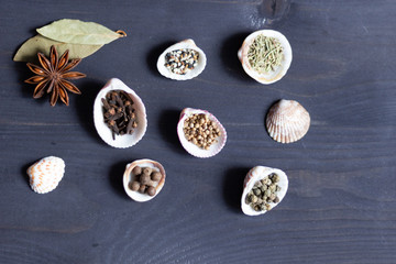 Spices in sea shells for fish and seafood on black wooden background