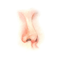 Human nose three quarter perspective. Watercolor illustration.