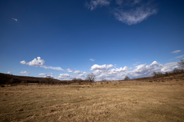 Beautiful Landscape with Cumulus Cloud