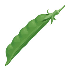 Fresh green pea pod, isolated vector illustration on white background.