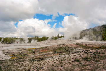 Steam coming from multiple geysers and hot springs in the Upper Geyser Basin of Yellowstone National Park