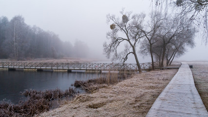Wyspa na Zalewie Dojlidzkim. Mgła, przymrozek i szron, Dojlidy, Białystok, Podlasie, Polska © podlaski49