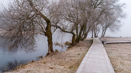 Wyspa na Zalewie Dojlidzkim. Mgła, przymrozek i szron, Dojlidy, Białystok, Podlasie, Polska © podlaski49