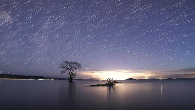 4K star trail Time Lapse with that Taupo tree