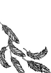 羽根をモチーフにデザインした背景などにも使える素材