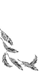 羽根をモチーフにデザインした背景などにも使える素材