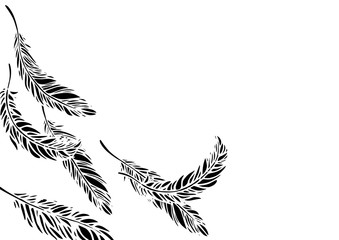 羽根をモチーフにデザインした背景などにも使える素材