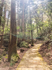 岩湧山　石畳の登山道