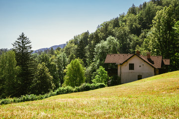 Green forest and house in Bled, Slovenia